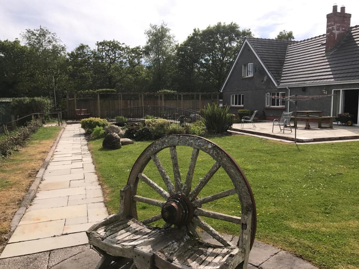 LlannonBwthyn Rhosyn住宿加早餐旅馆 外观 照片